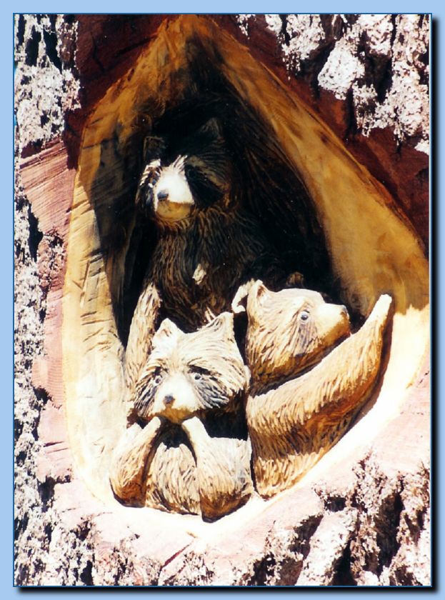 2-10 raccoons carved into tree stump-archive-0003